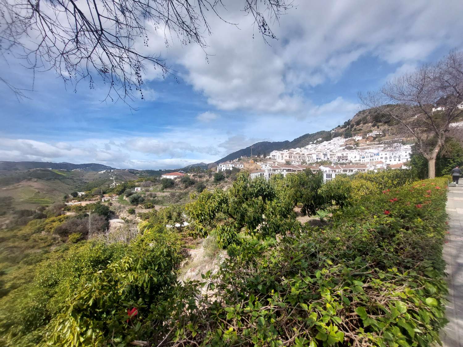 Haus zum verkauf in Frigiliana