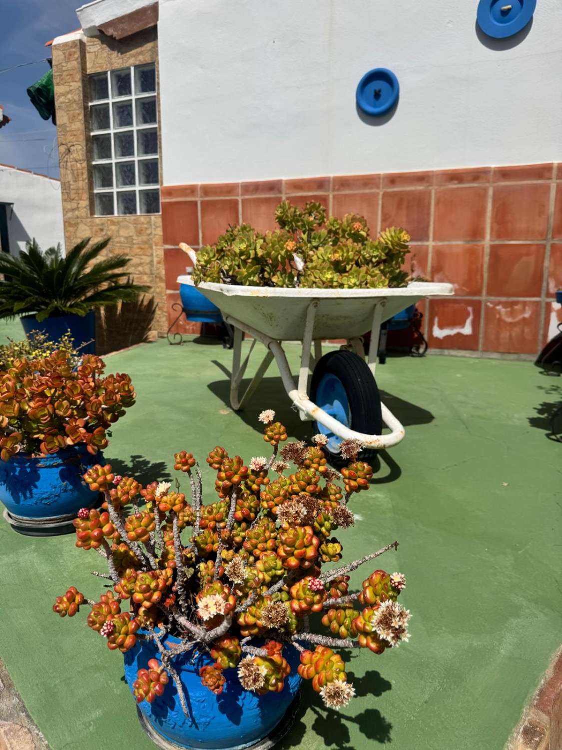 Country house 1.5 km from the beach