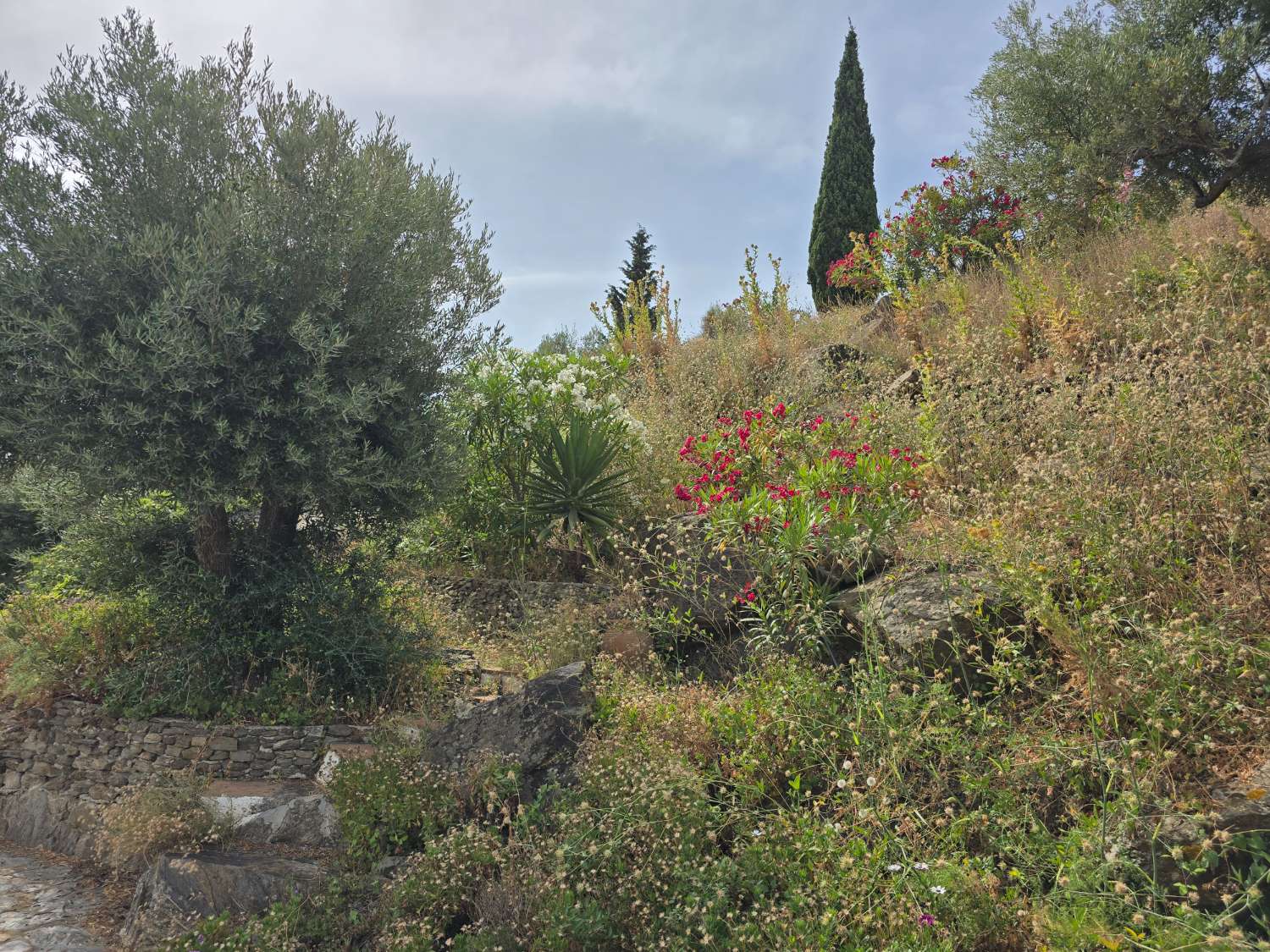 Bonita  casa de campo en venta