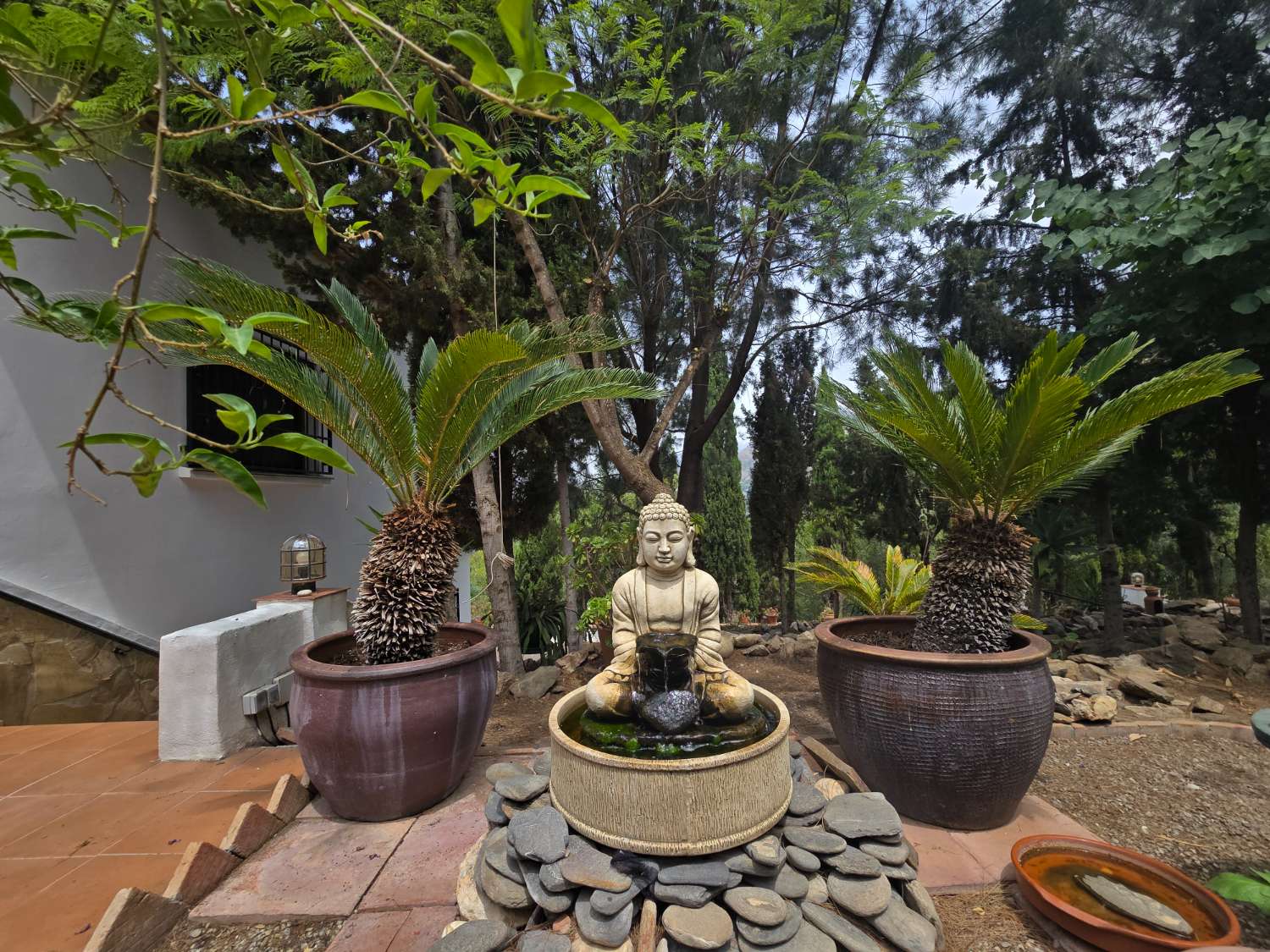 Bonita casa  de campo en venta    Torrox / Frigiliana