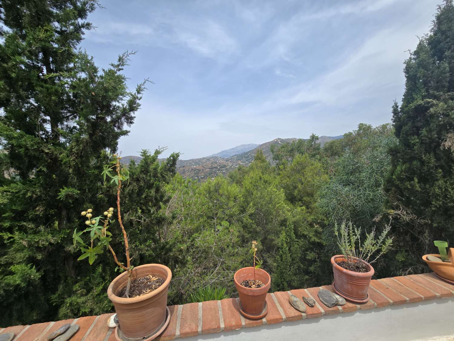 Bonita casa  de campo en venta    Torrox / Frigiliana