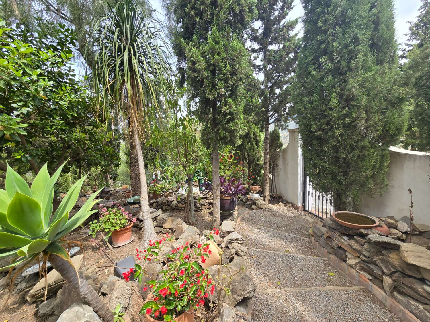 Bonita casa  de campo en venta    Torrox / Frigiliana