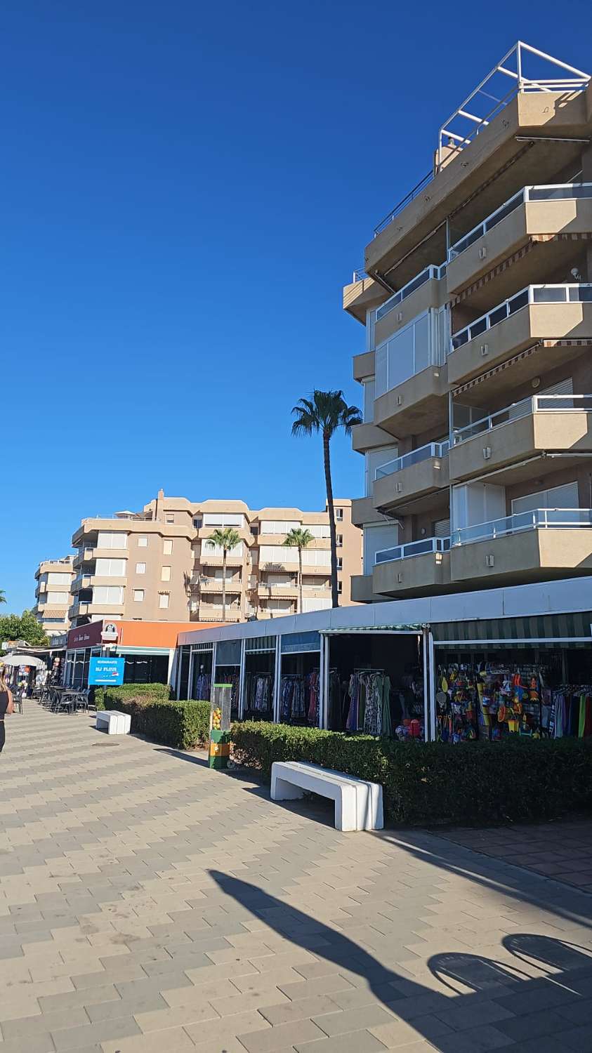 Bel appartement en bord de mer à Torrox-Costa