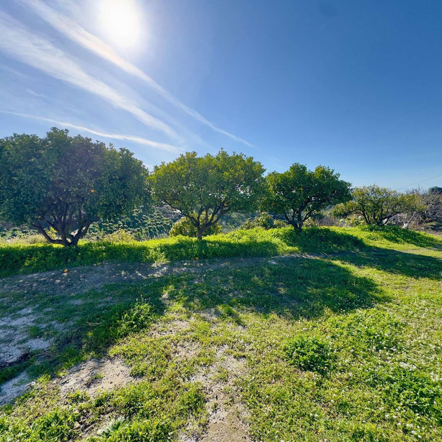Belle maison de campagne à vendre à Almayate (Velez Malaga)