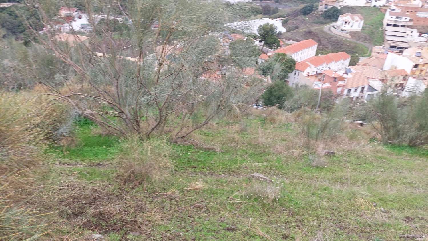 Grundstück zum Verkauf in Benamorraca (Vélez - Málaga)