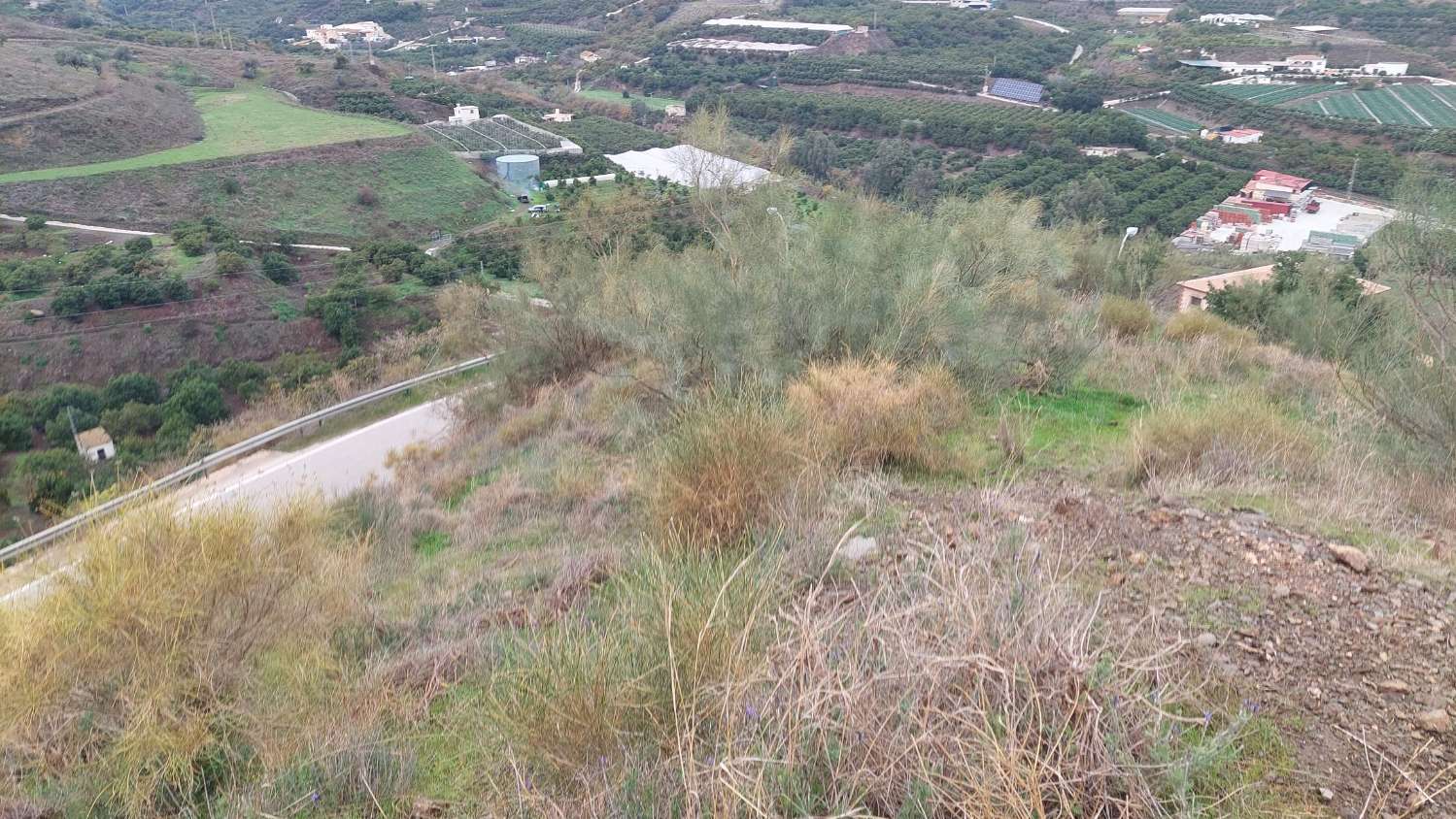 Grundstück zum Verkauf in Benamorraca (Vélez - Málaga)