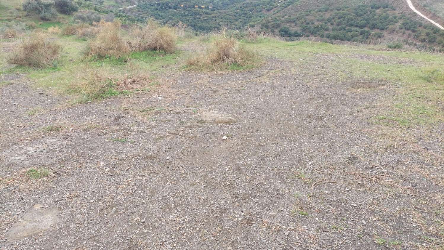 Grundstück zum Verkauf in Benamorraca (Vélez - Málaga)