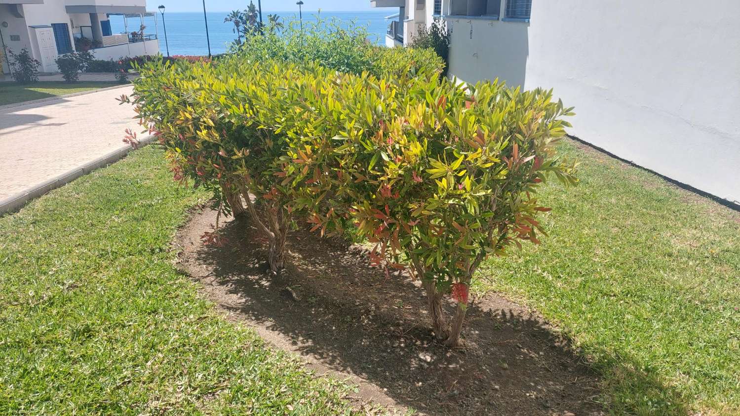 Exclusivo Duplex en  primera linea de playa