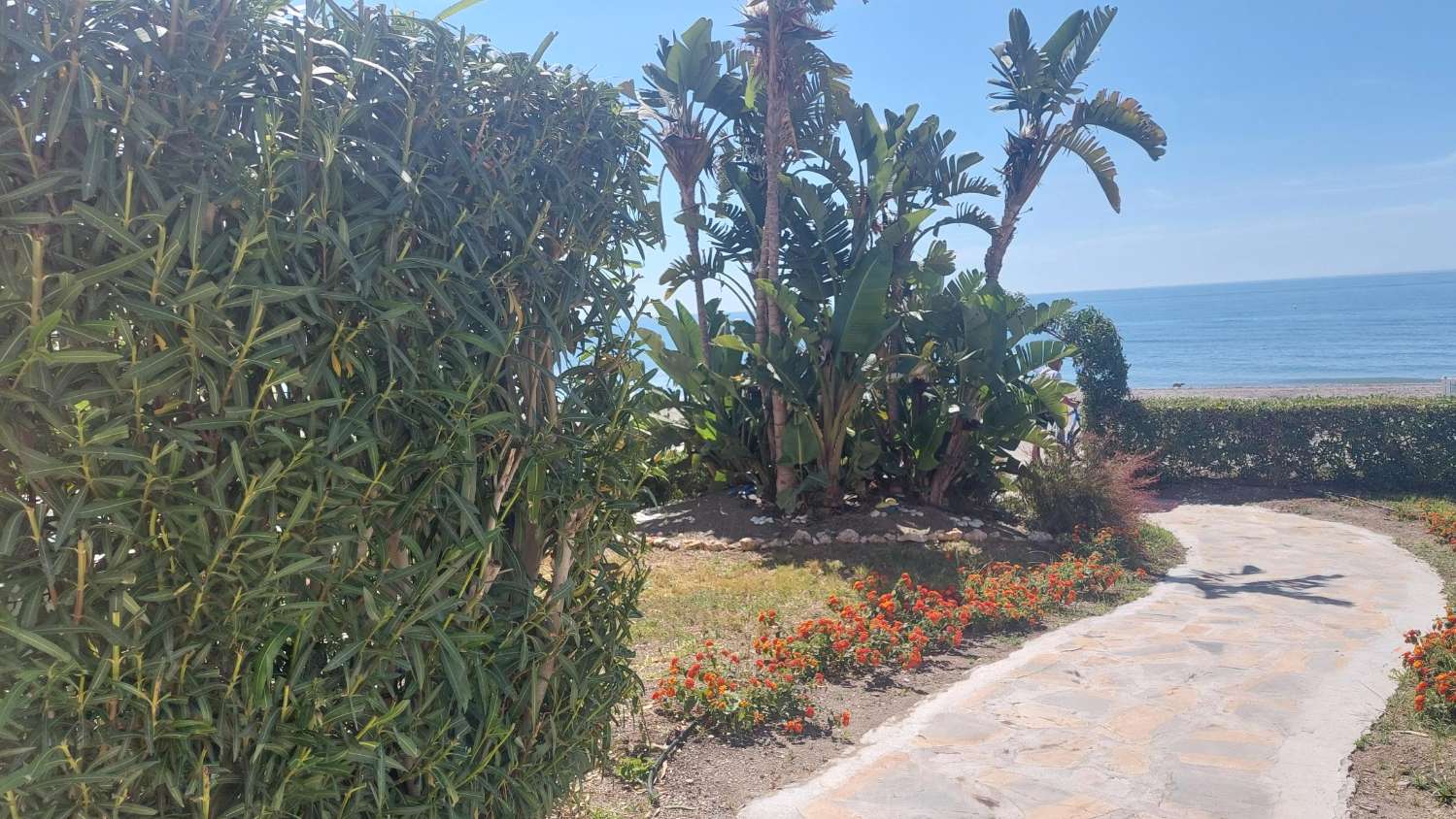 Exclusivo Duplex en  primera linea de playa