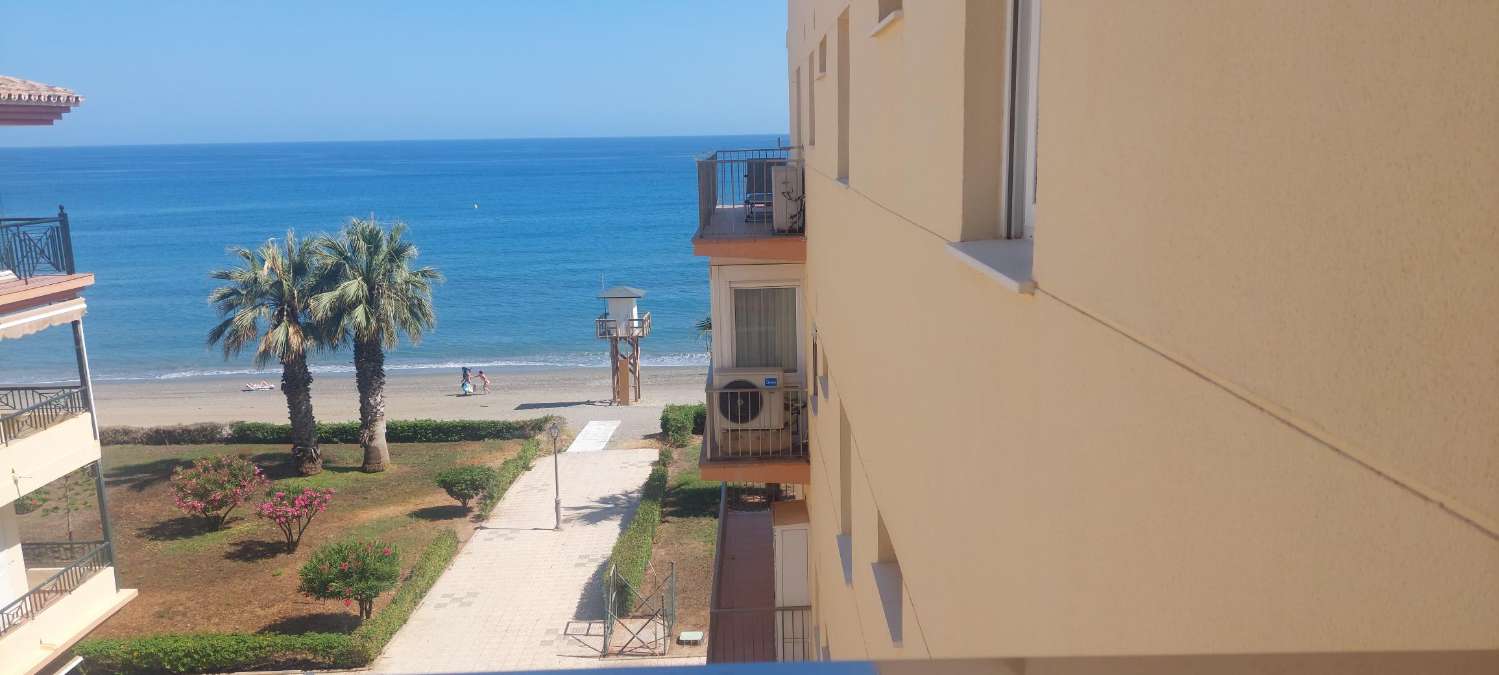 Exclusive beachfront apartment in Peñoncillo (Torrox Costa)