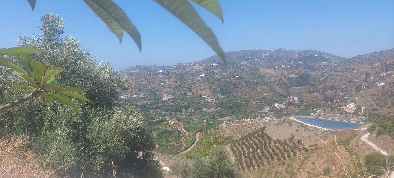 Lovely country house for sale in Torrox/Friglina