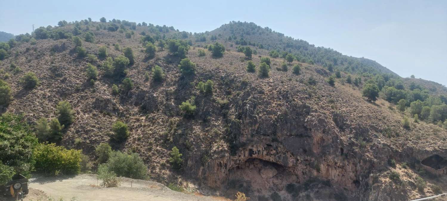 Beautiful villa for sale in Frigiliana